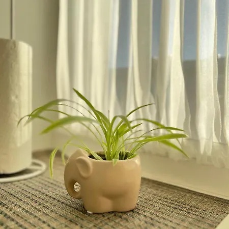 Fashion Διαμέρισμα